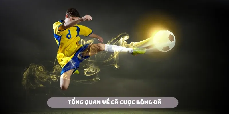 Cá cược bóng đá luôn là hoạt động sôi nổi tại 23Win