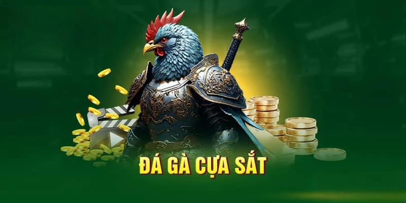 Đá gà cửa sắt